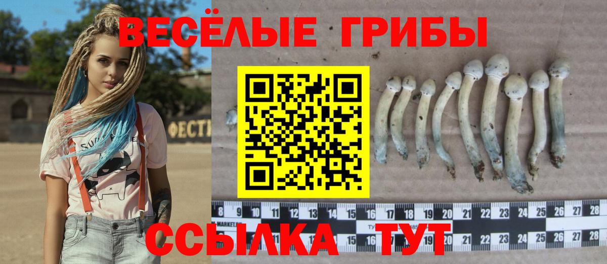 Дзержинск  Псилоцибиновые грибы мицелий  Галлюциногенные грибы мицелий  Вход с VPN 