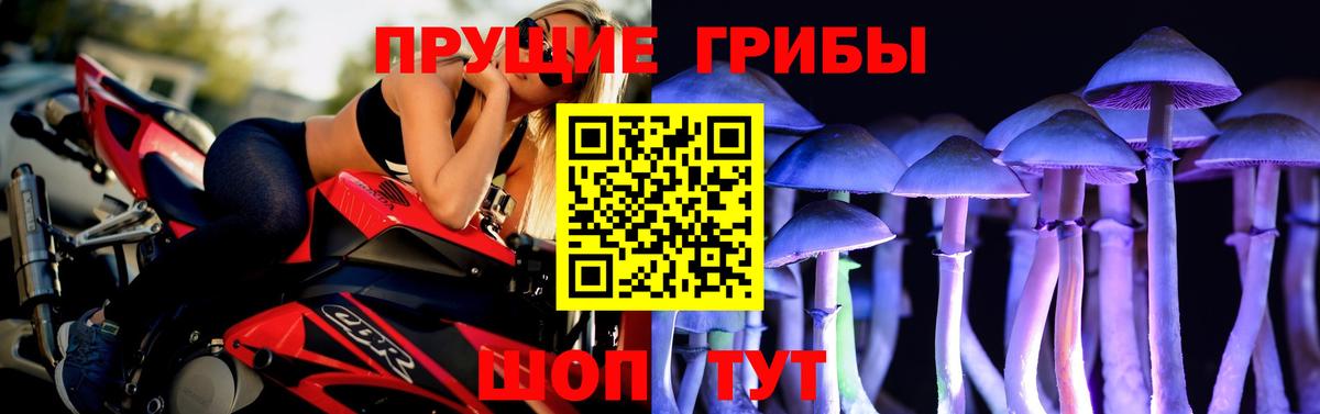 Псилоцибиновые грибы Cubensis Дзержинск